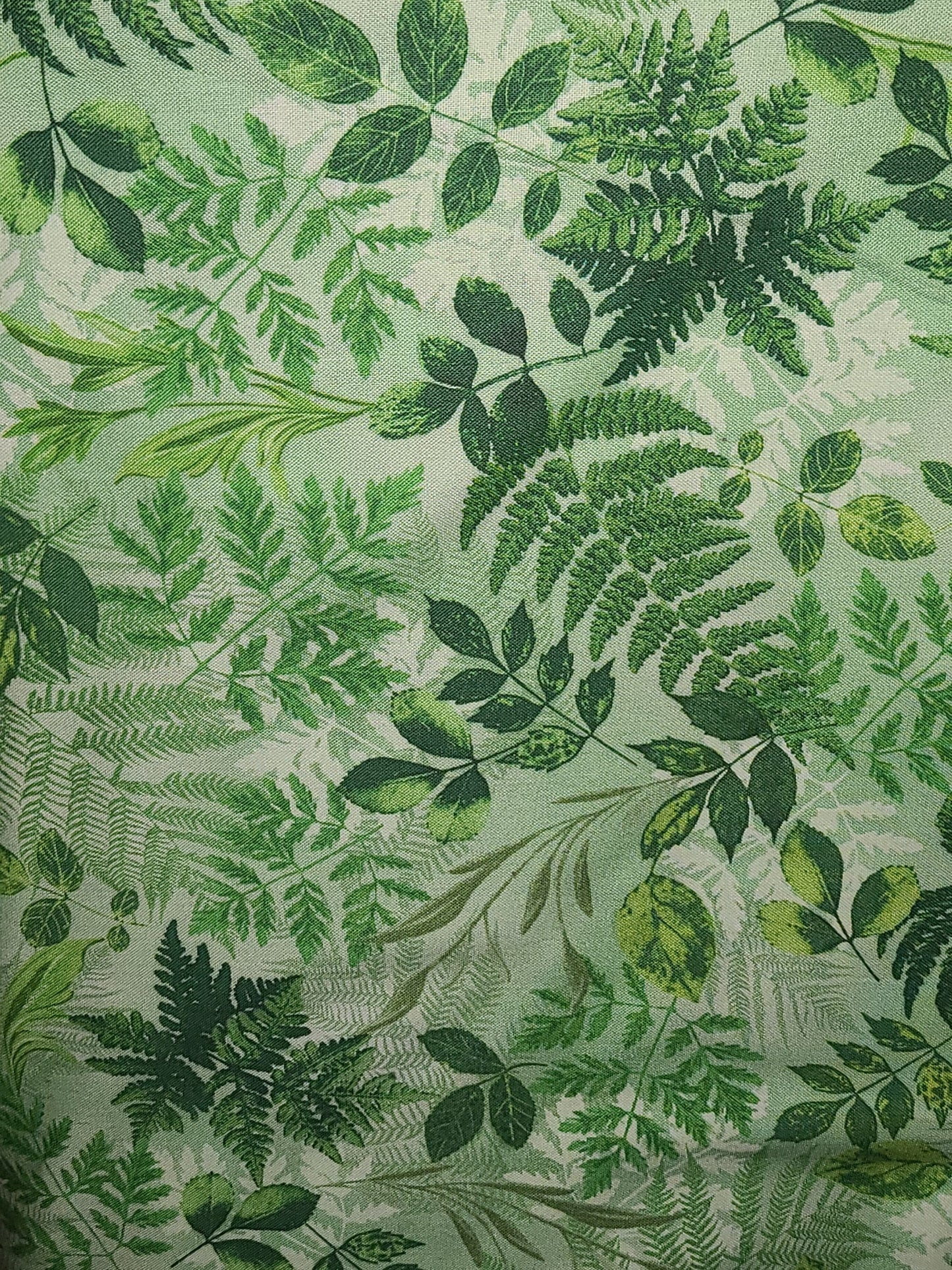 108" Wide Cotton fabric - 100% Cotton fabric - for large quilt backing BENTAREX Fern Fantasy