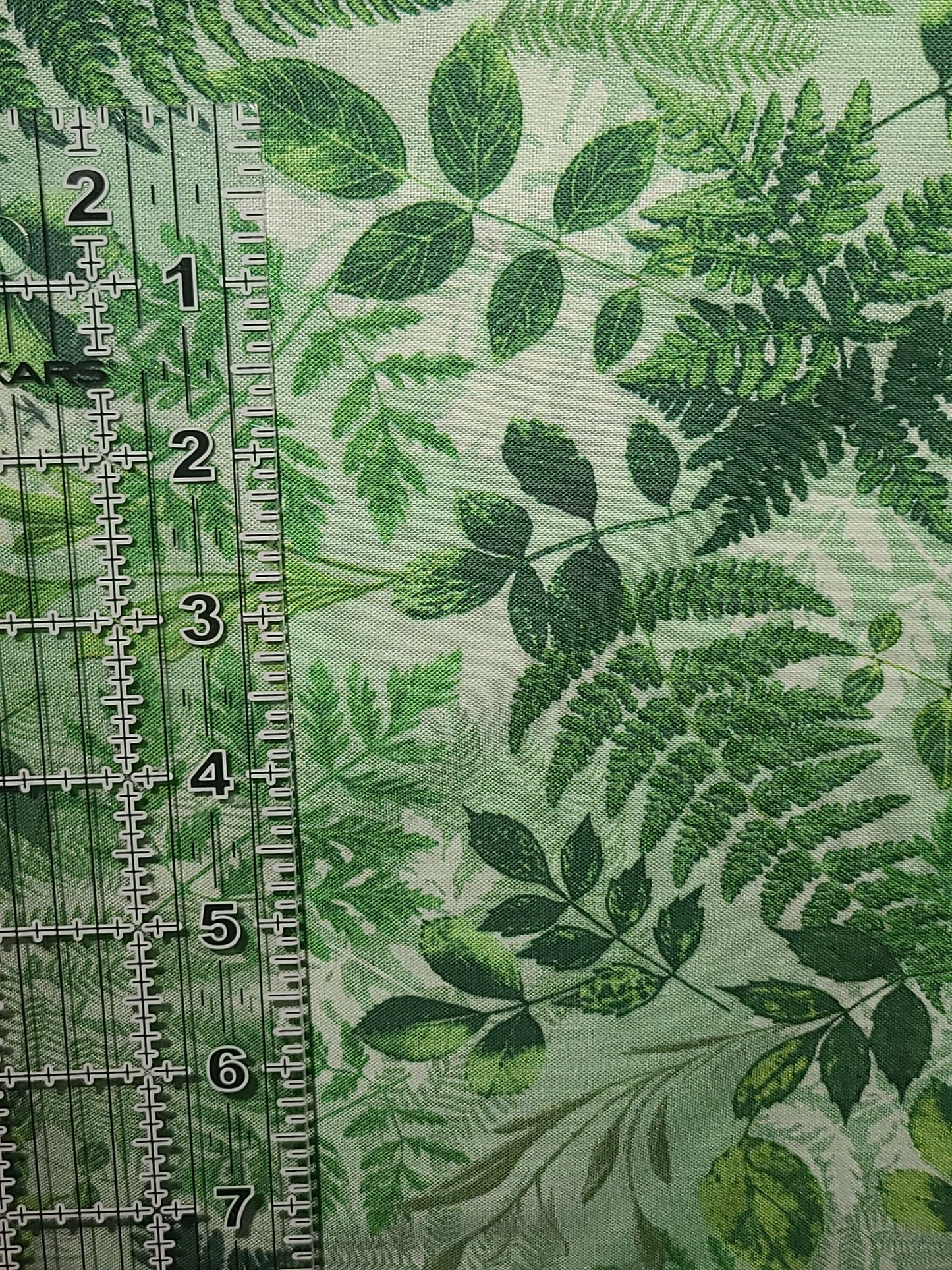108" Wide Cotton fabric - 100% Cotton fabric - for large quilt backing BENTAREX Fern Fantasy