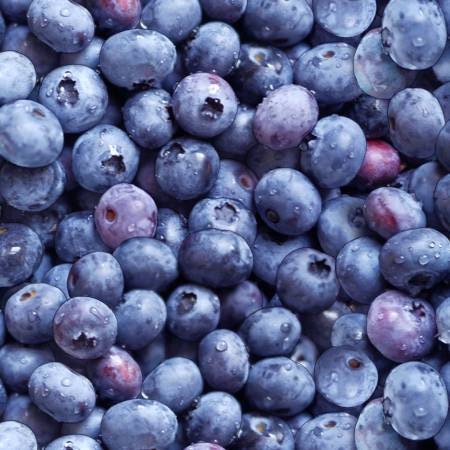 BLUEBERRIES! cotton novelty fabric. Multiple quantities will ship as one continuous cut.